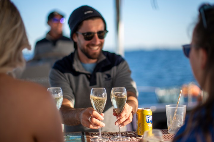 a person holding a glass of wine
